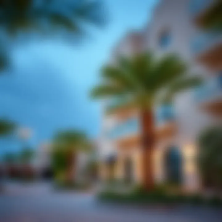 Amenities in Al Nahda Local amenities and facilities in Al Nahda
