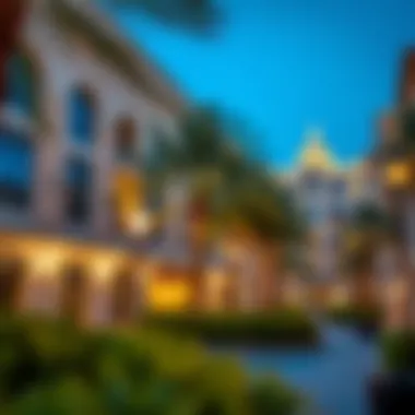 Amenities that Enrich Life in Almaya Satwa Local amenities and parks in Almaya Satwa
