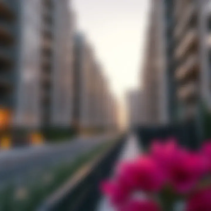 Real estate development project in Dubai