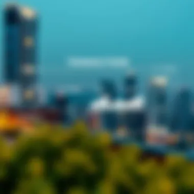 Infographic showing the role of RERA in real estate transactions