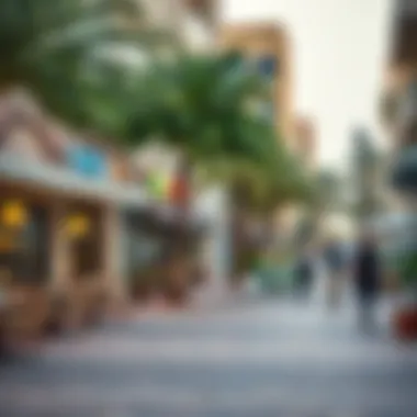 Trendy cafes and shops lining the streets of neighborhoods near Jebel Ali