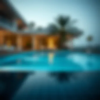 Understanding Swimming Pools: A Comprehensive Guide Summary Understanding Swimming Pools: A Comprehensive Guide Summary
