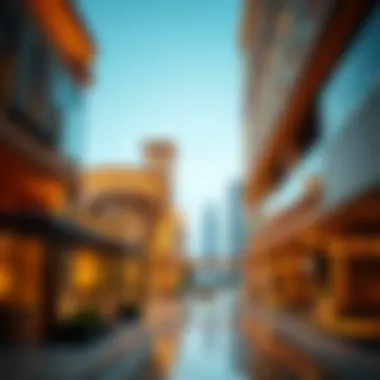 Notable Understanding the Entrance Fee at Riverland Dubai Notable Understanding the Entrance Fee at Riverland Dubai
