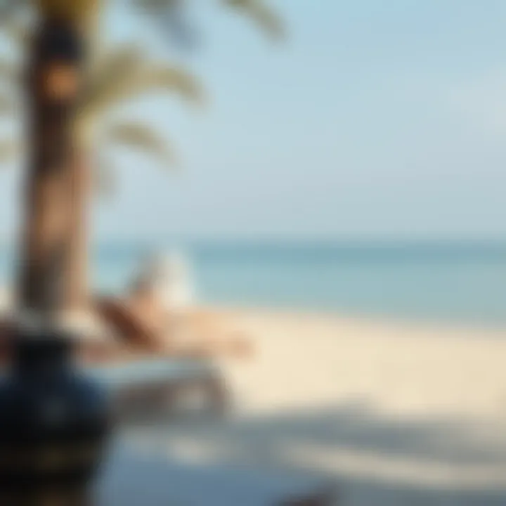 Relaxing on Beaches Accessible Without a Visa A serene beach setting in a visa-free country for Dubai residents