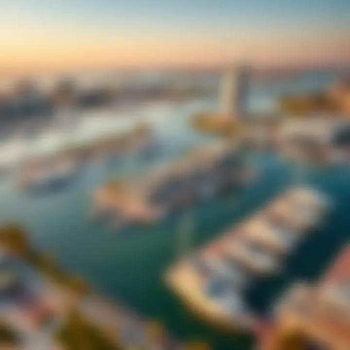 Aerial view showcasing the layout and beauty of Westside Marina